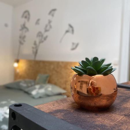 La Maison D'Angelique - Colocation Hoteliere A 150M Gare Tgv- Grande Cuisine Equipee & Salon - Fibre - Netflix 니오르 외부 사진